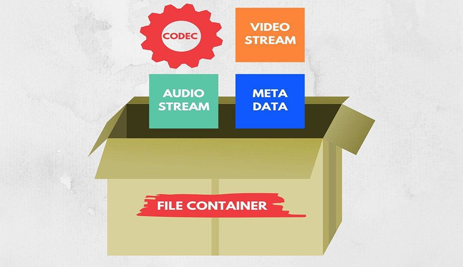 کدک و کانتینر / codec & container