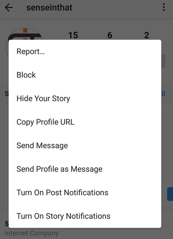 برای فعال سازی قابلیت های Turn On Post Notification و Turn On Post Notification برای یک پروفایل خاص کافی است وارد پروفایل فرد مورد نظر شویم و در بالای صفحه سمت راست بر روی سه نقطه (...) ضربه بزنیم و بر روی دکمه مورد نظر خودمون ضربه بزنیم.